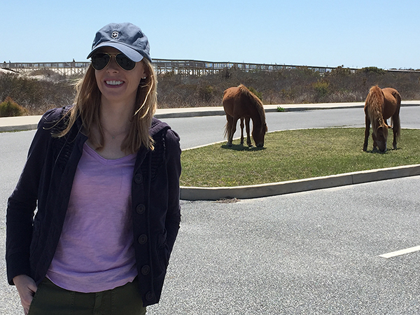 Assateague Island wild horses