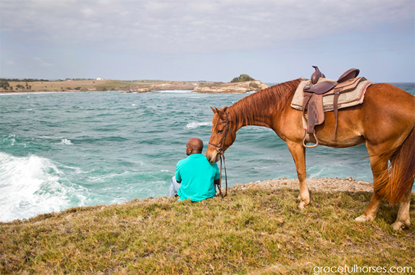 Atlantic riding stables st lucia