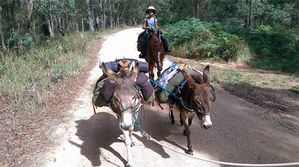 Australia's Bicentennial National Trail donkey children