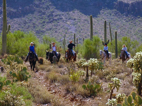 arizona horse riding- white stallion ranch