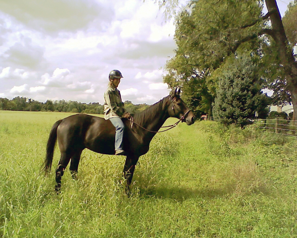 baby boomer horse riding