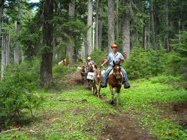 back country horsemen washington state