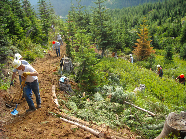 back country horsemen work party washington