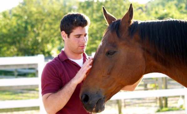 Josh & Sir Galahad: Retired Thoroughbred Racehorse & decendant of the legendary 