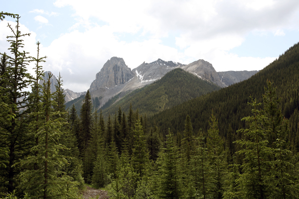 Banff trails