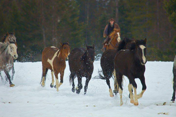 Bar W Guest Ranch winter horse riding