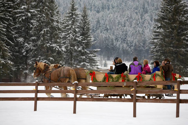 Bar w ranch montana christmas horse drawn sleigh