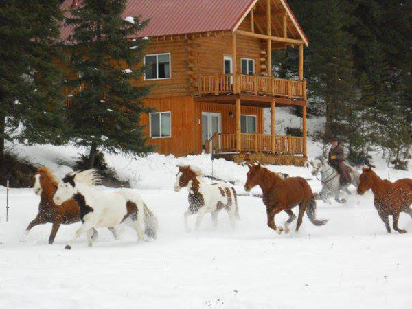 bar w guest ranch winter photo