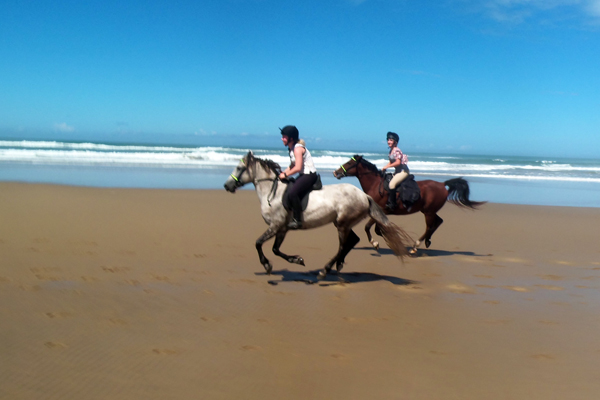 beach gallop south africa