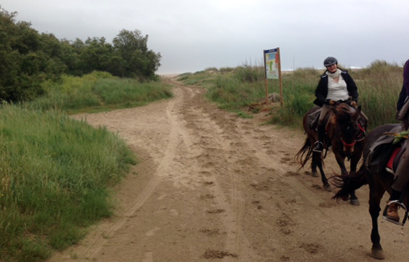 beach horseback riding spain