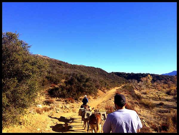 bear camp horseback california