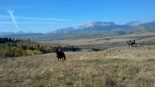 bear creek ranch montana dude ranches