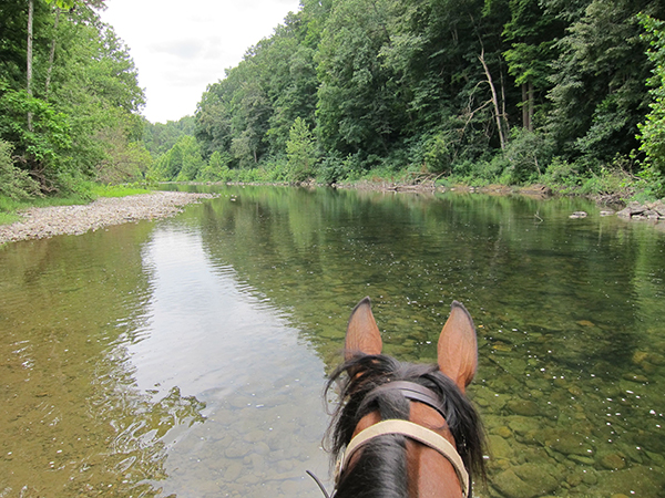 between the ears view of the maury river 