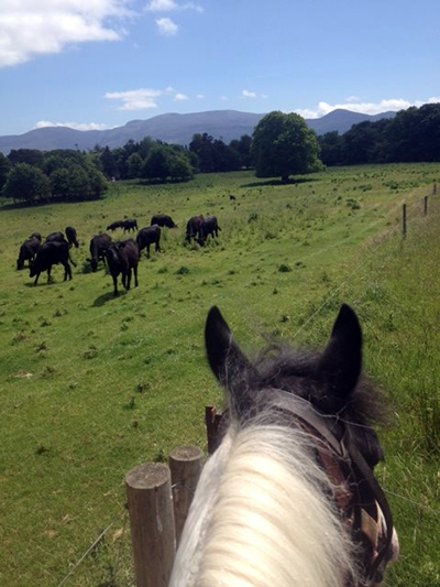 between the ears horseback Ireland Ring of Kerry