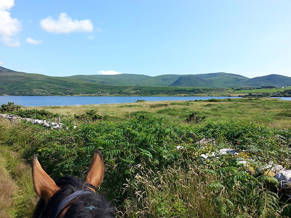 between the ears horseback Ireland Ring of Kerry