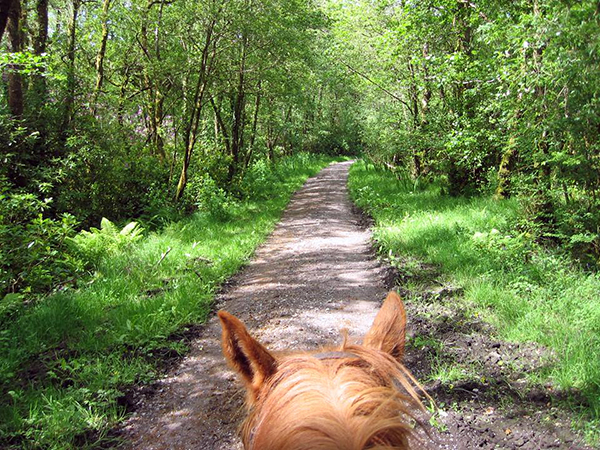 between the ears horseback Ireland Ring of Kerry trails