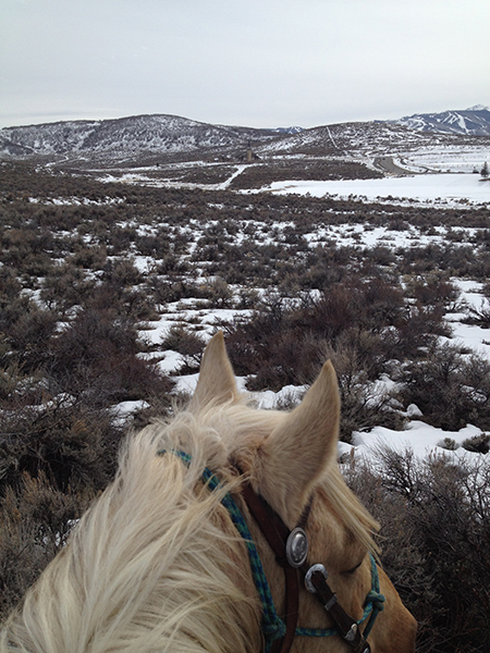 between the ears view of utah 