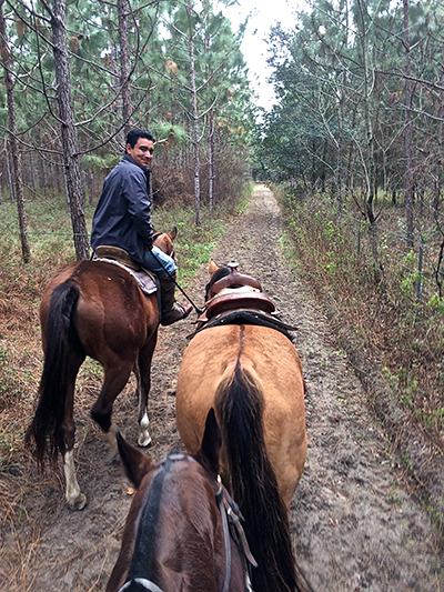 BG Ocala Guest Ranch horseback trails