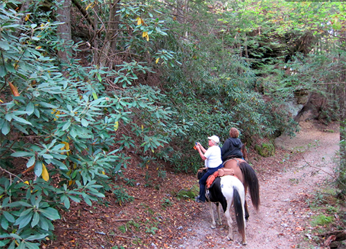 big south fork Tennessee sandstone