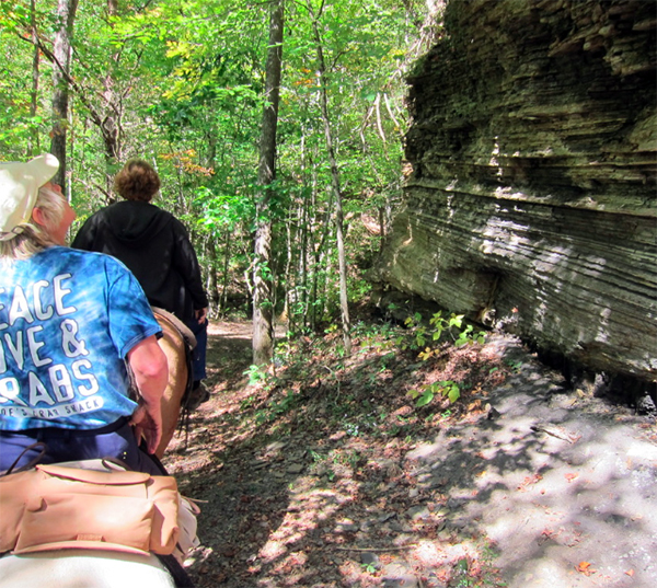 Big South Fork TN horseback riding