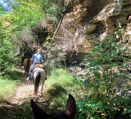 horseback riding big south fork tennessee