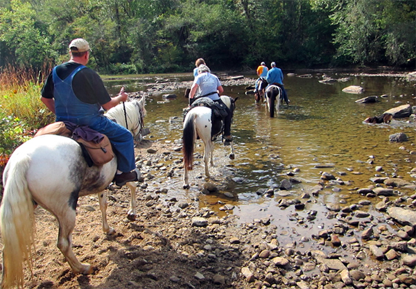 big south fork tennessee horseback riding river crossing