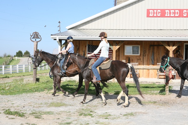 Big Red Stables