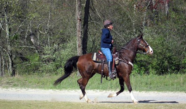 Biltmore Horseback Riding