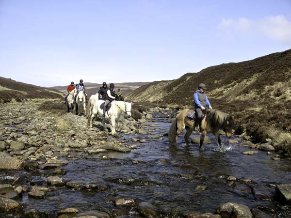 Blair Castle Pony Trekking River Crossing