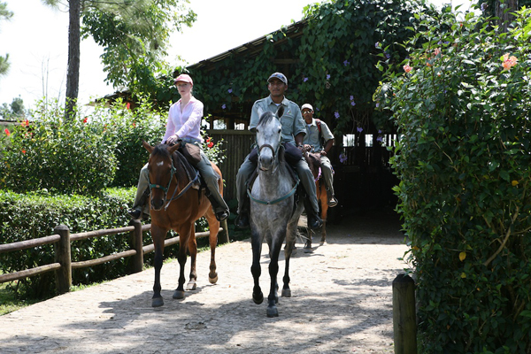 Blancaneaux Lodge stables belize