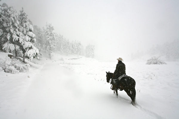 blizzard horse ride