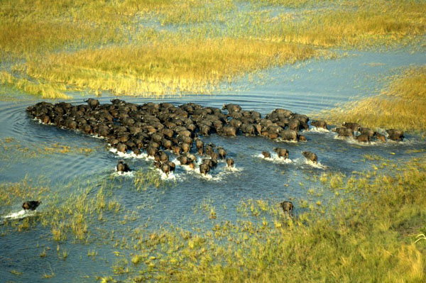 Botswana Riding Safari