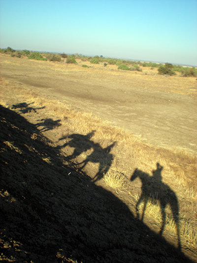 Botswana horse safari