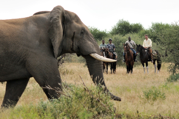 Botswana horse safari
