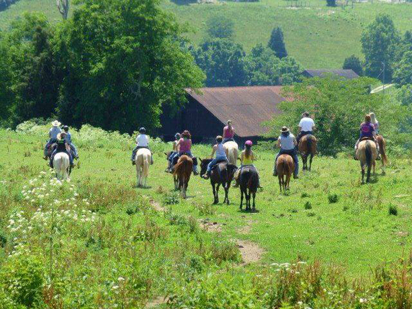 Deer Run Stable Trail Riding Kentucky