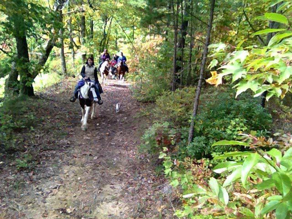 Horse Lick Creek Trail Riding