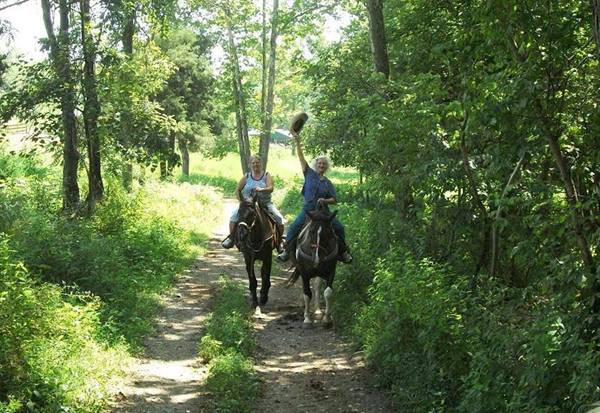 Whispering Woods Trails Kentucky