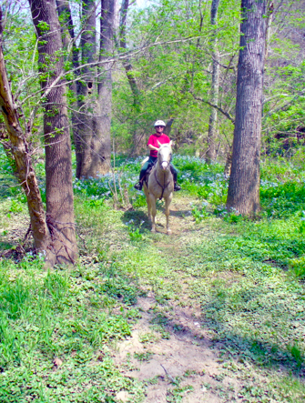 brandywine-delaware-horseback