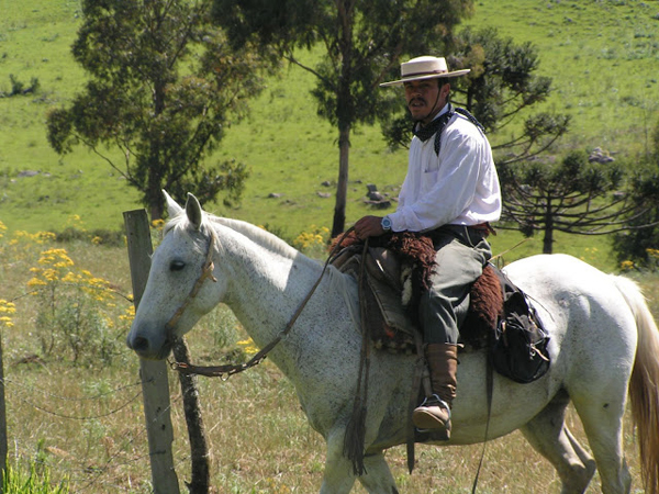 brazil cowboy gaucho