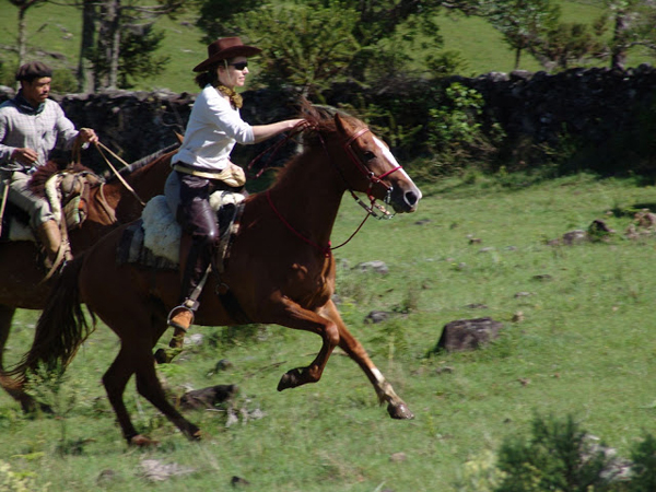 brazil gallop horse riding