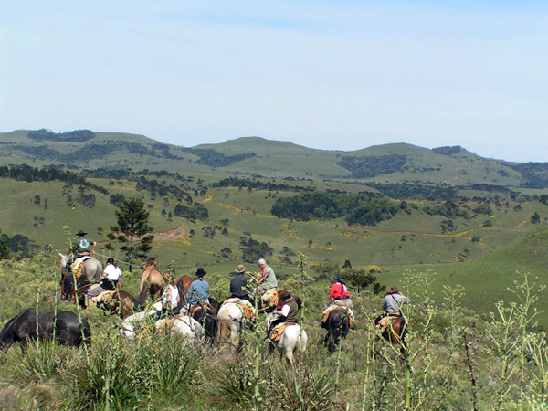 brazil riding holidays