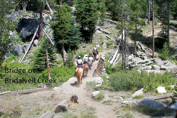 bridge over bridaveil creek yosemite horse riding