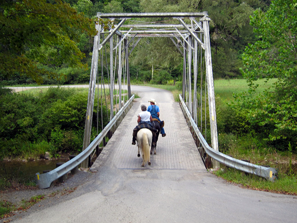 bridge crossing horseback wv