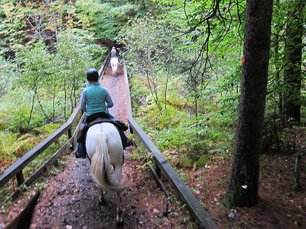 bridge trail crossing at otter creek in adirondack mountains 