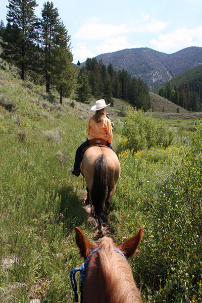 Bridger Teton Wyoming horseback