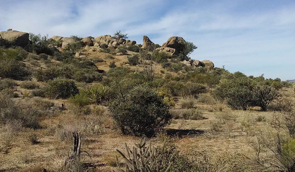 brown ranch arizona scottsdale boulders