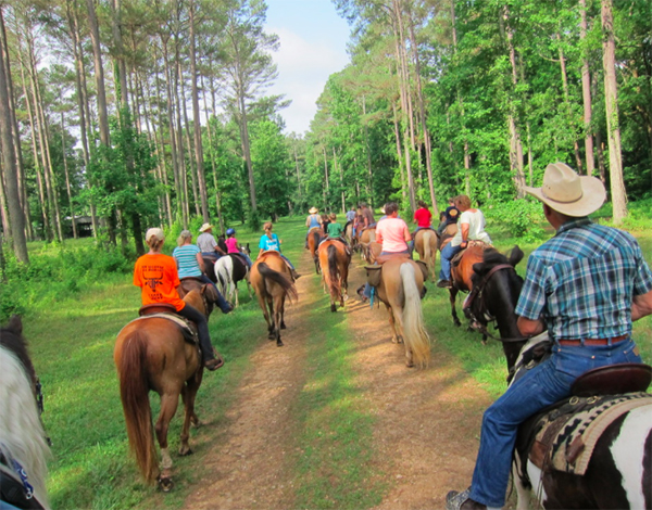 Buffalo River Group Trail Ride Tennessee