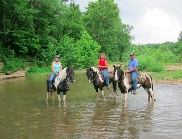 Buffalo River Trail Rides Tennessee