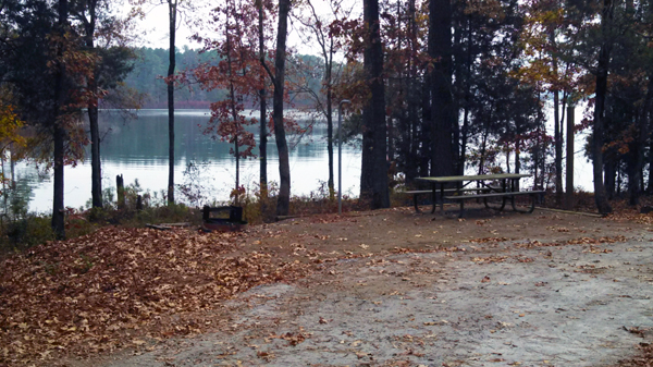 bussey point horse trails georgia