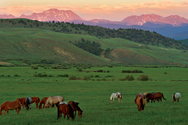 C Lazy U Ranch colorado dude ranches